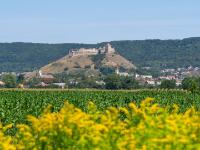 Fahrt vorbei an Sümeg mit mächtiger Burganlage